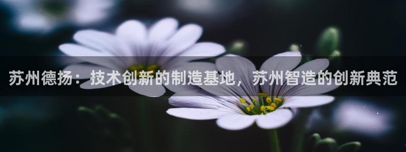 天辰娱乐招商