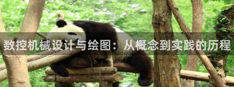 天辰娱乐官网