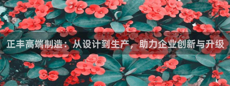 天辰在线娱乐