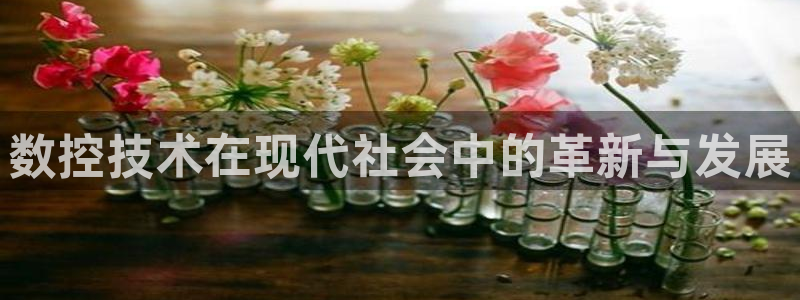 天辰娱乐彩票