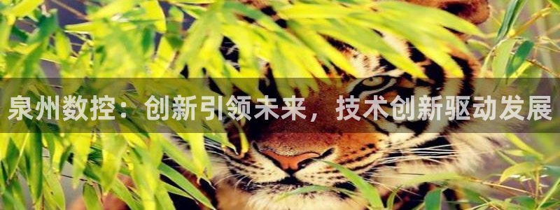 北京天辰娱乐