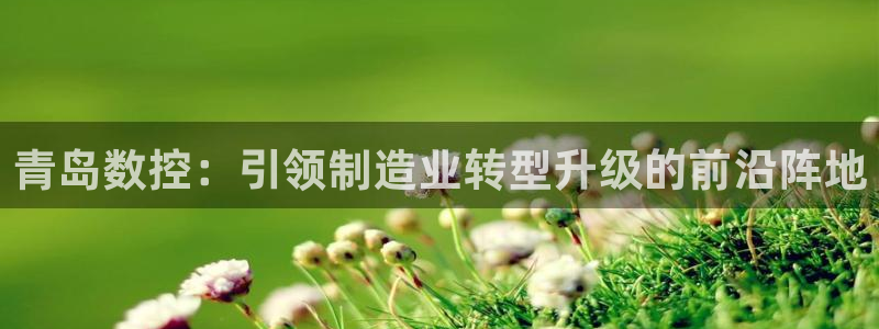 天辰娱乐的网址首页