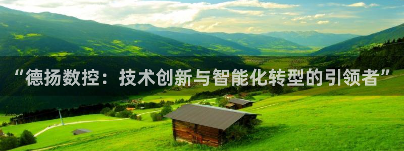 天辰娱乐675138：“德扬数控：技术创新与智能化转型的引领者”