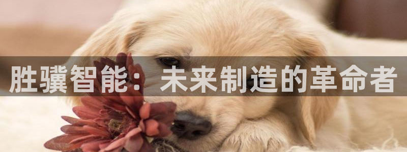 天辰娱乐跑的快