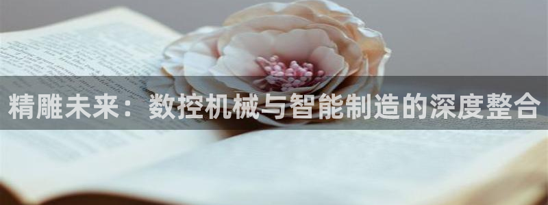 天辰娱乐登录：精雕未来：数控机械与智能制造的深度整合