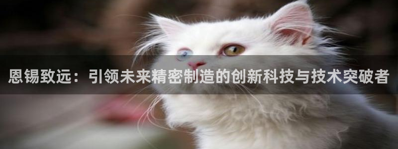天辰娱乐国际