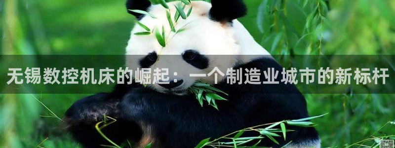 天辰注册娱乐：无锡数控机床的崛起：一个制造业城市的新标杆