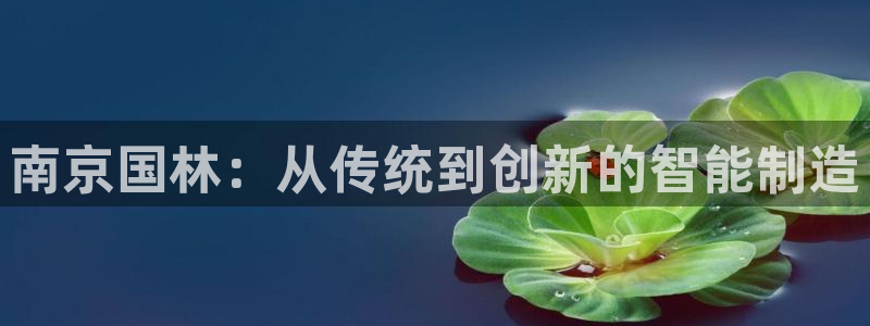 天辰娱乐1980：南京国林：从传统到创新的智能制造