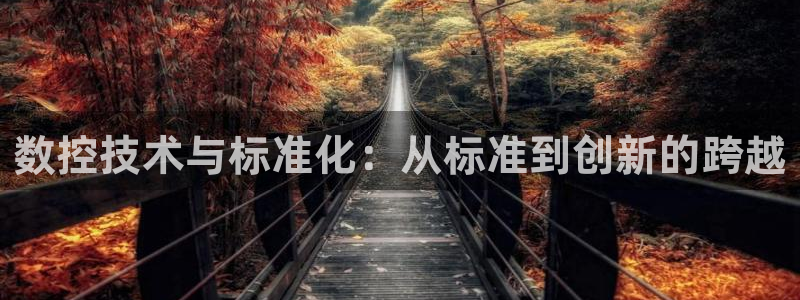 天辰娱乐输了