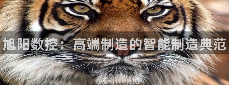 天辰娱乐维护