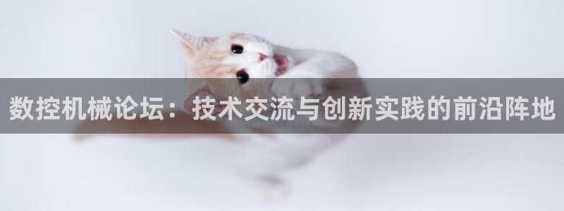天辰娱乐酒店：数控机械论坛：技术交流与创新实践的前沿阵地