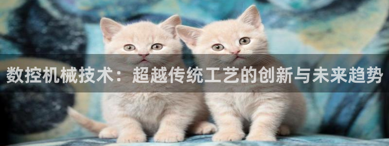天辰娱乐官网平台下载：数控机械技术：超越传统工艺的创新与未来趋势
