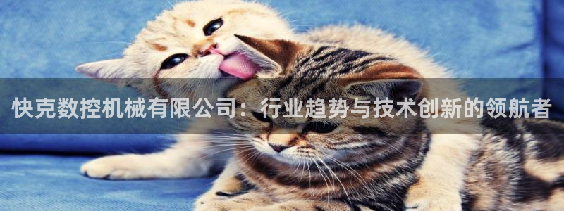 天辰娱乐 231639：快克数控机械有限公司：行业趋势与技术创新的领航者
