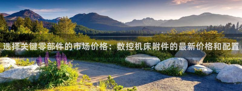 天辰娱乐小妹：选择关键零部件的市场价格：数控机床附件的最新价格和配置