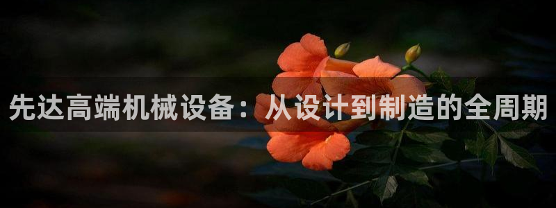 天辰娱乐股票