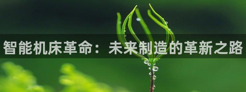 天辰娱乐53551