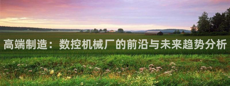 天辰娱乐白屏：高端制造：数控机械厂的前沿与未来趋势分析