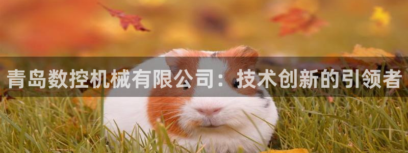 天辰2娱乐