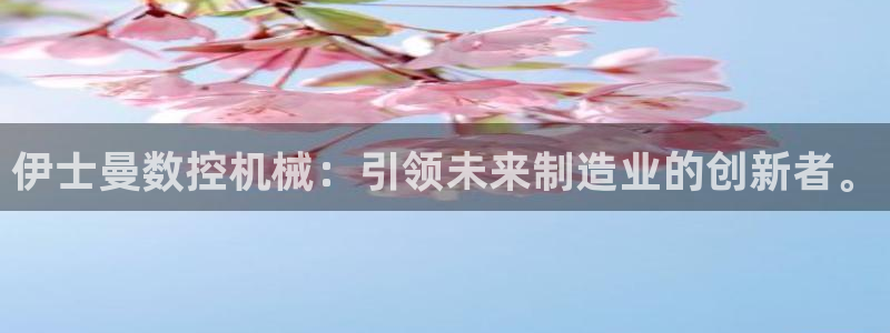 天辰娱乐鱼刺：伊士曼数控机械：引领未来制造业的创新者。