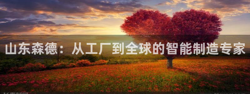 天辰水娱乐：山东森德：从工厂到全球的智能制造专家