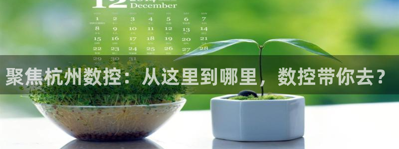 手机上怎么下载天辰娱乐