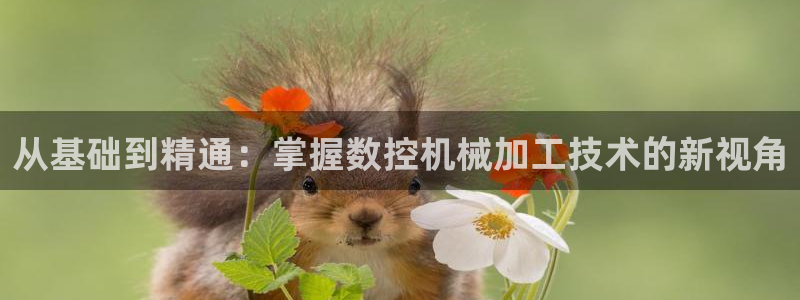 天辰娱乐登陆