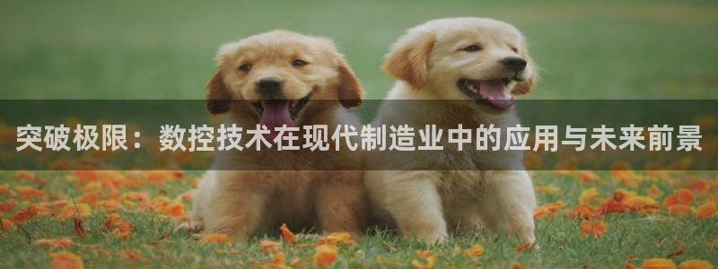 天辰a娱乐:突破极限:数控技术在现代制造业中的应用与未来前景