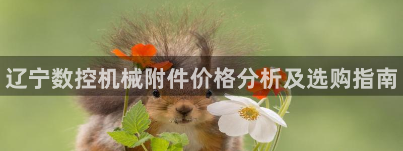 天辰娱乐小妹