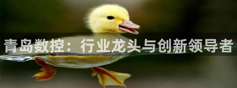天辰娱乐 44516