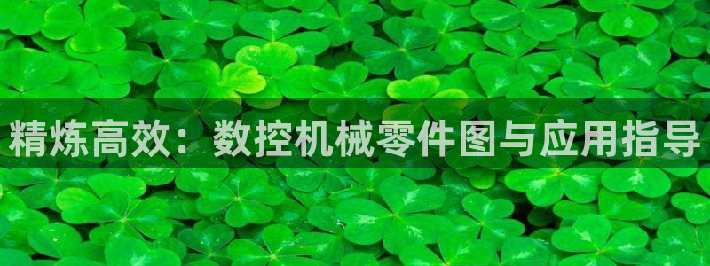 天辰团队贝高娱乐
