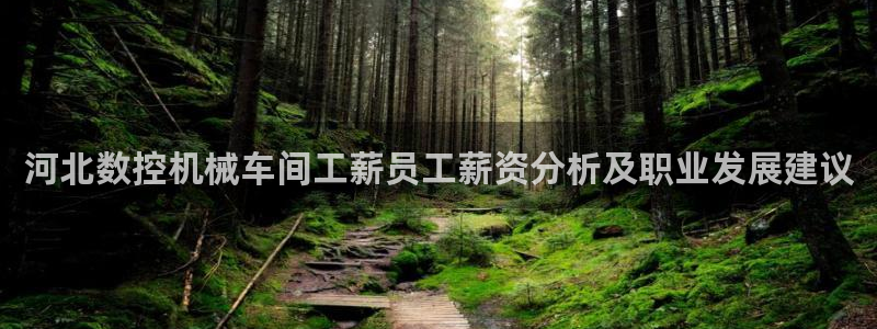 天辰娱乐728567：河北数控机械车间工薪员工薪资分析及职业发展建议